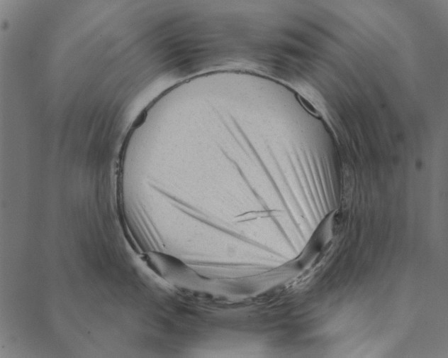 X0000087391151200705181301