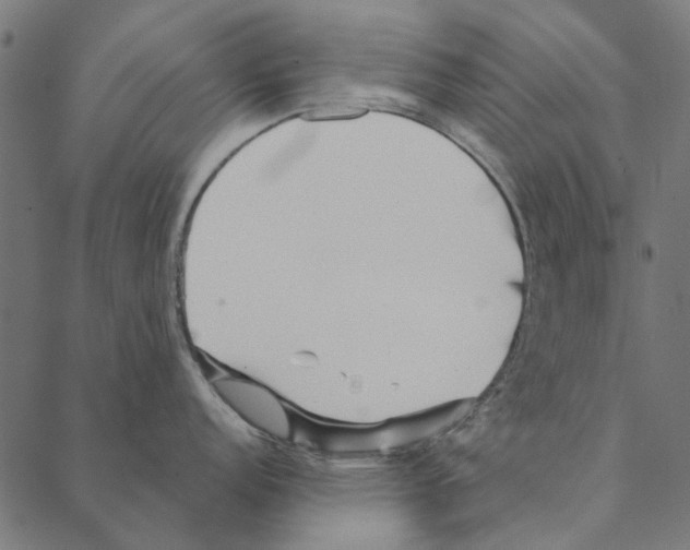 X0000087391152200705181301