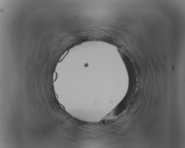 X0000087391153200705181300