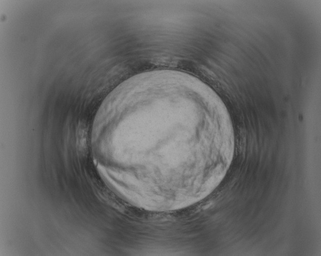 X0000087391154200705181300