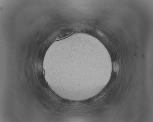 X0000087391155200705181300