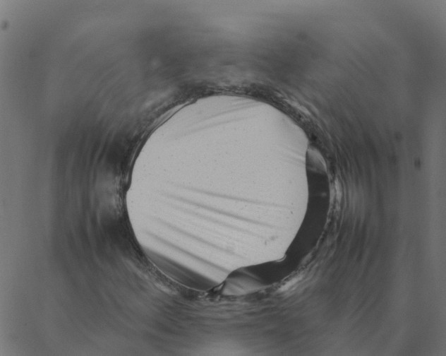 X0000087391156200705181300