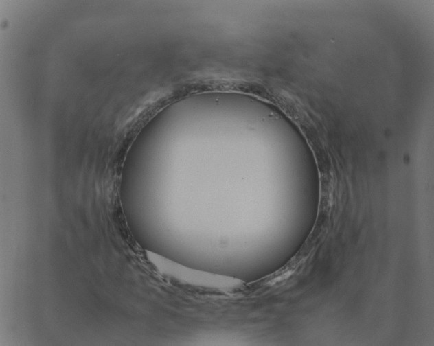 X0000087391157200705181300