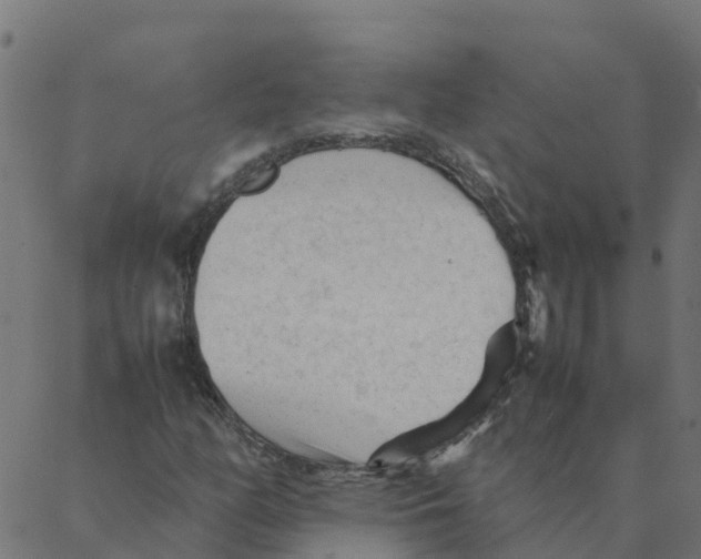 X0000087391158200705181300