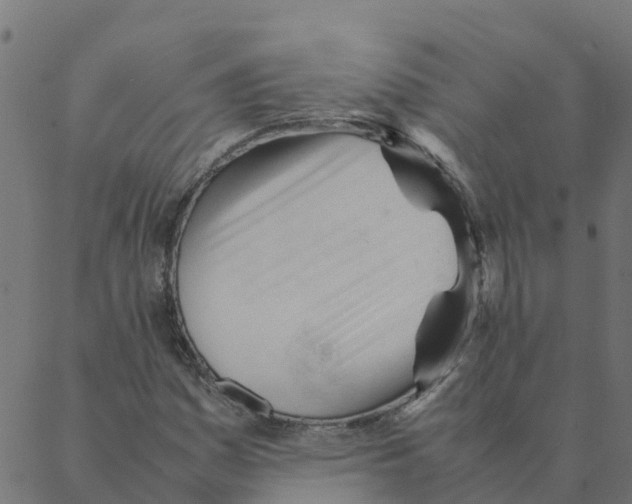 X0000087391161200705181300