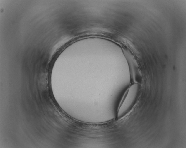 X0000087391164200705181300