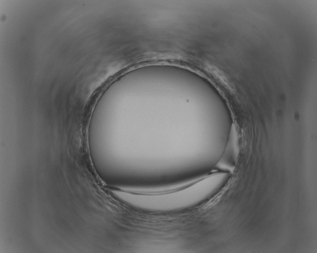 X0000087391165200705181300