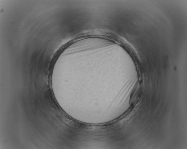 X0000087391166200705181300