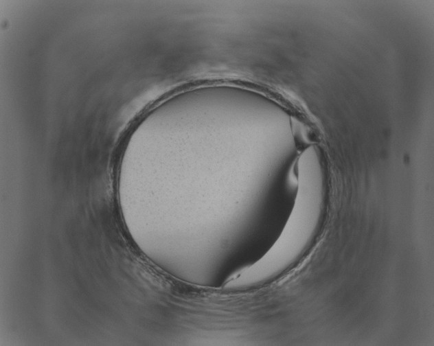 X0000087391167200705181300