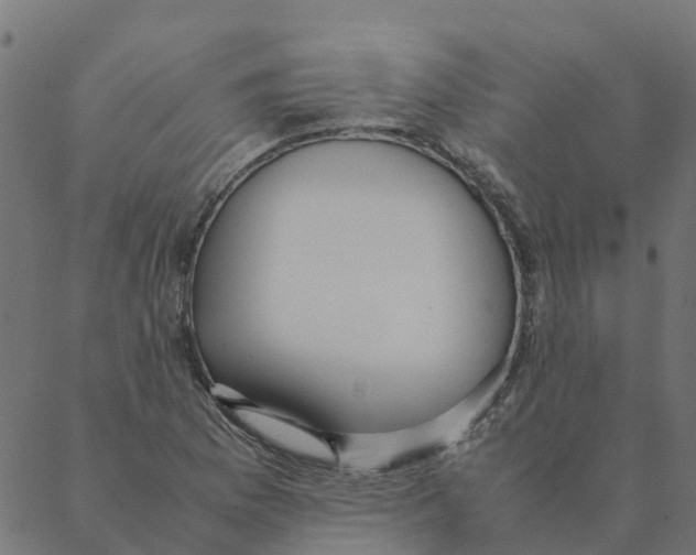 X0000087391169200705181300