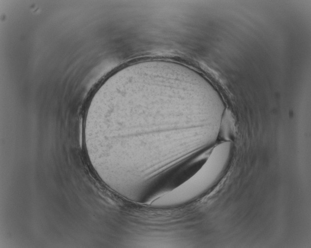 X0000087391171200705181300