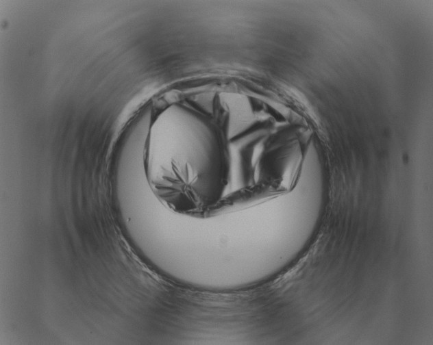 X0000087391172200705181300