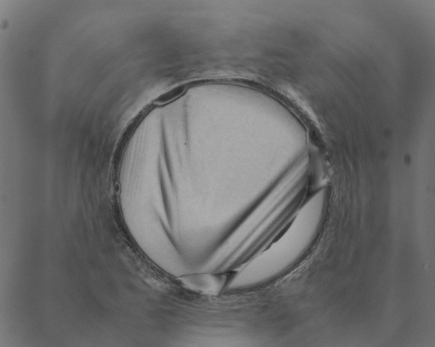 X0000087391173200705181300