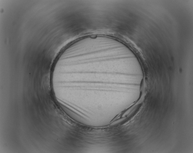 X0000087391174200705181300