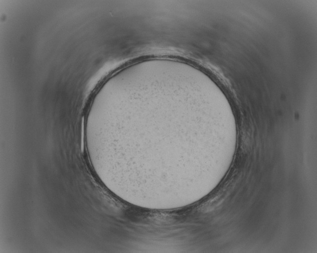 X0000087391175200705181300