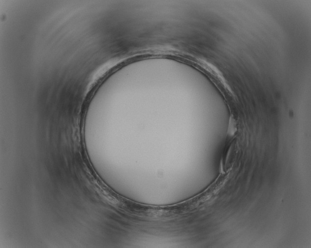 X0000087391176200705181300