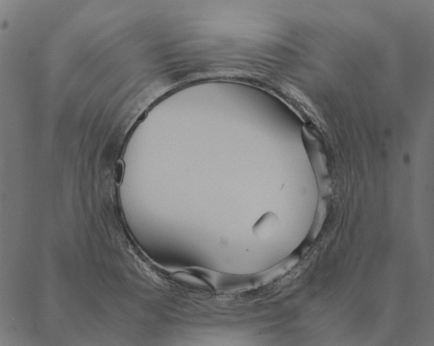 X0000087391177200705181300