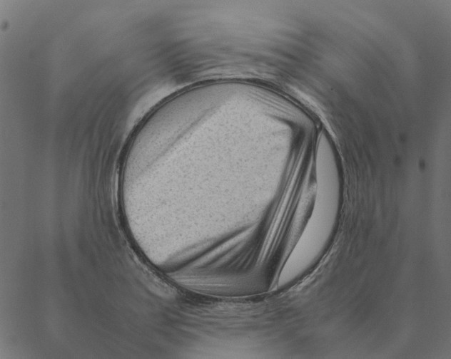 X0000087391179200705181300