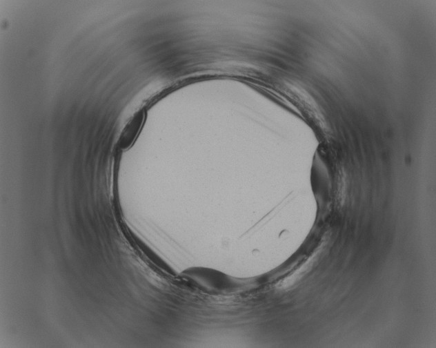 X0000087391180200705181300