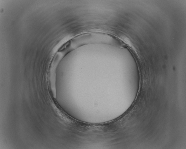 X0000087391181200705181300