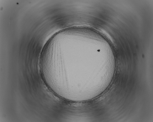 X0000087391182200705181300