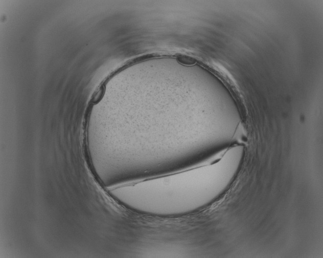 X0000087391183200705181300