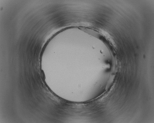 X0000087391184200705181259