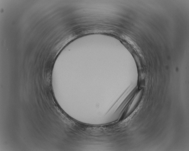 X0000087391185200705181259