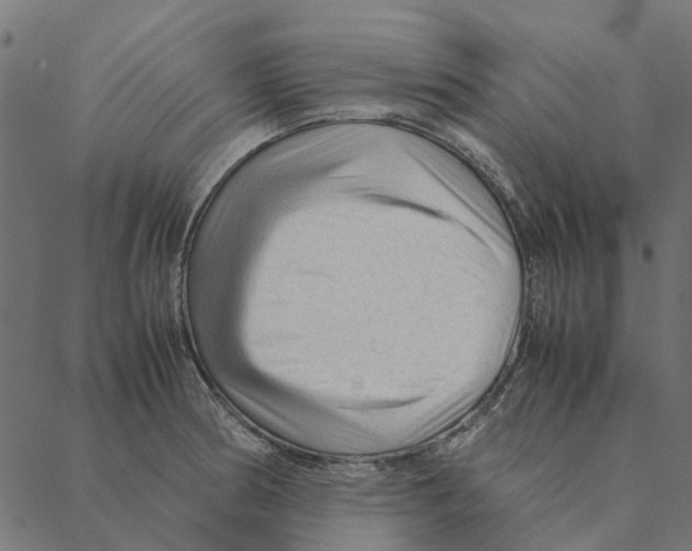 X0000087391186200705181259