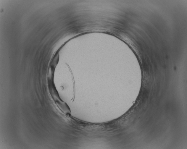 X0000087391187200705181259