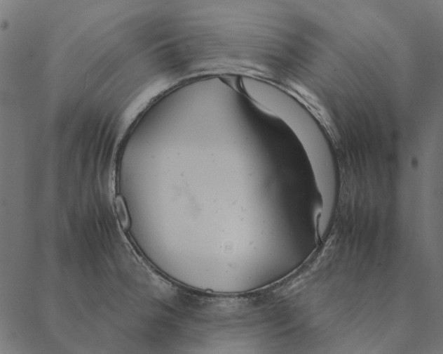 X0000087391188200705181259