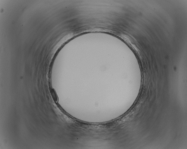 X0000087391189200705181259