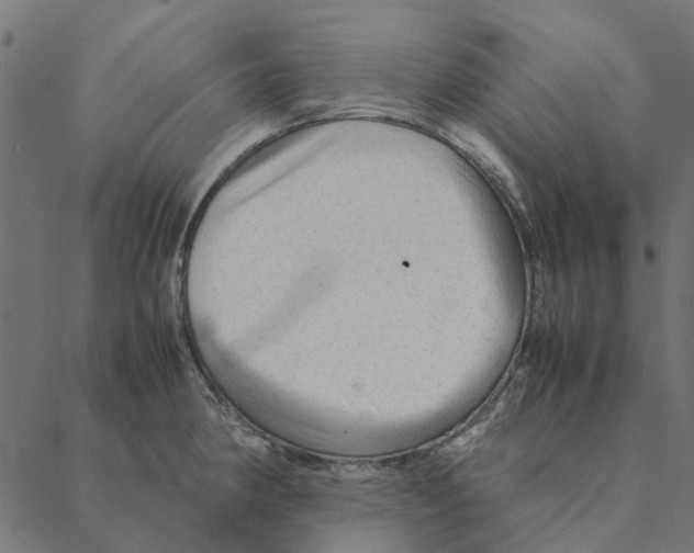 X0000087391190200705181259