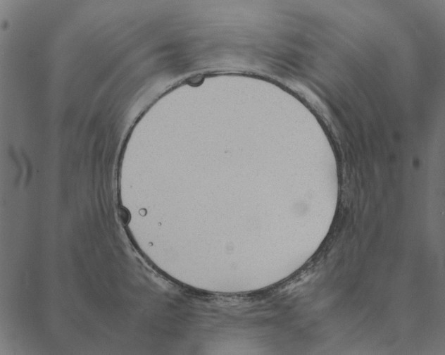 X0000087391191200705181259