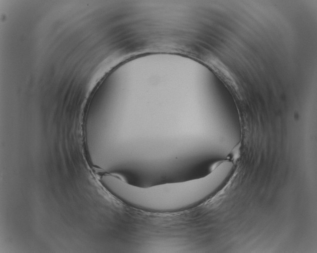 X0000087391192200705181259