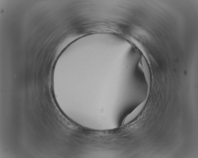 X0000087391195200705181259