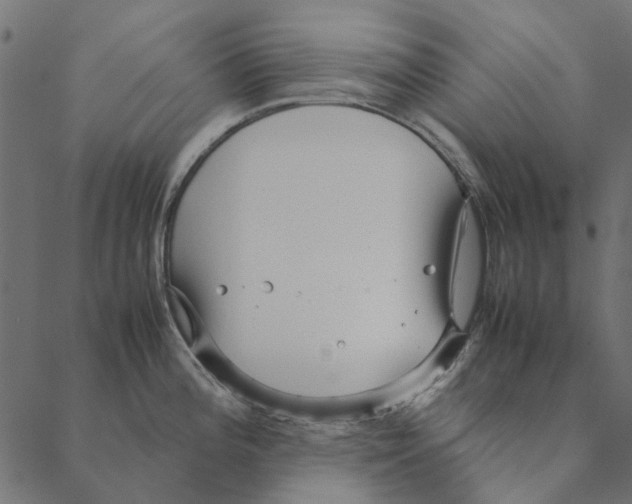 X0000087391196200705181259