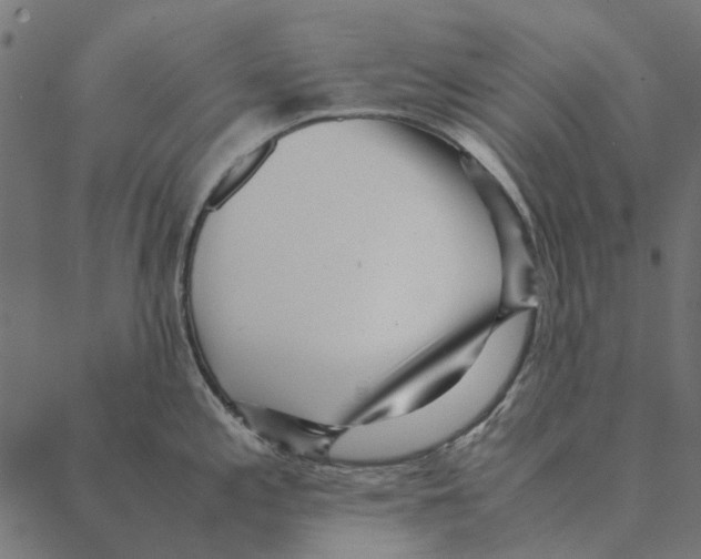 X0000087391197200705181259