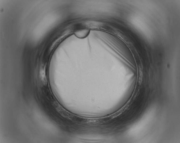 X0000087391198200705181259