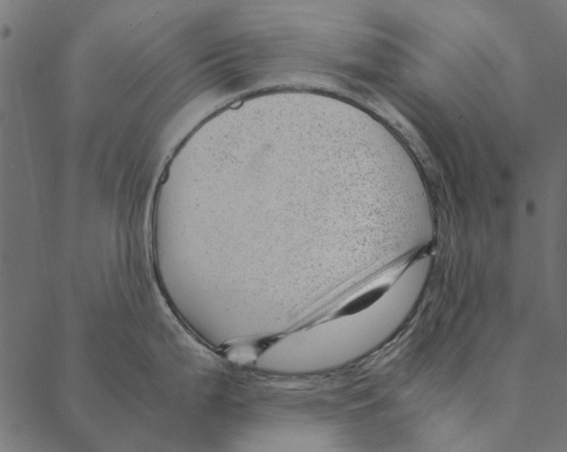 X0000087391199200705181259