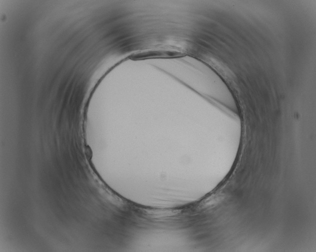 X0000087391200200705181259