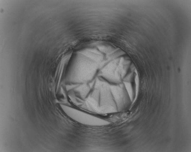 X0000087391202200705181258