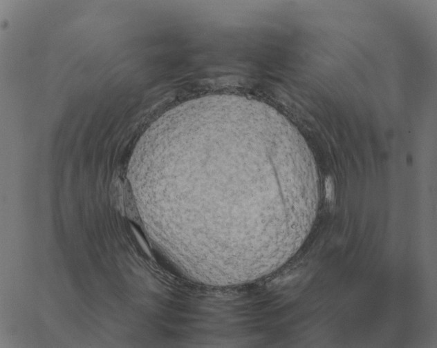 X0000087391203200705181258