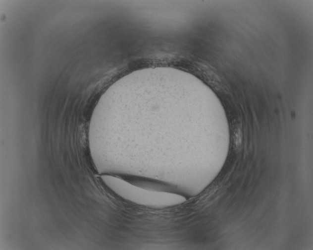 X0000087391204200705181259