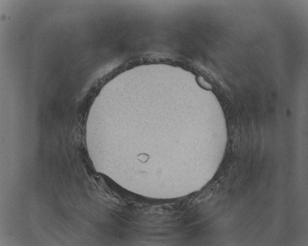 X0000087391207200705181259