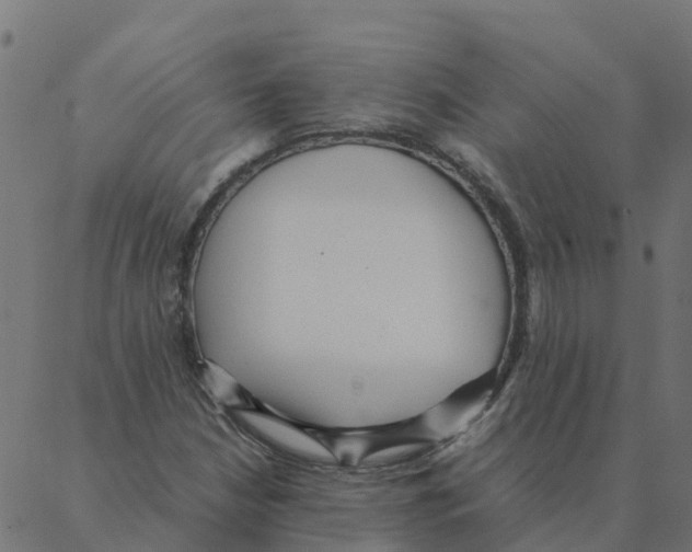 X0000087391210200705181259