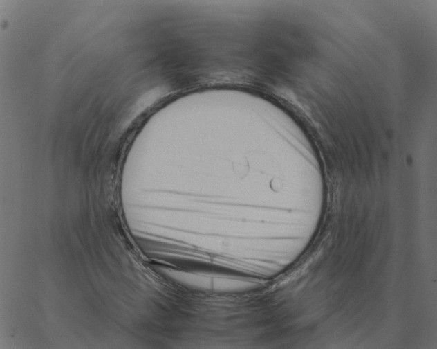 X0000087391211200705181259