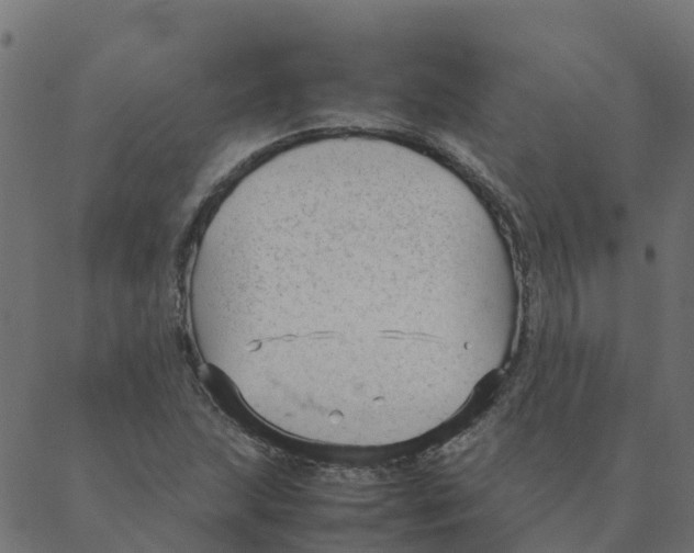 X0000087391215200705181259