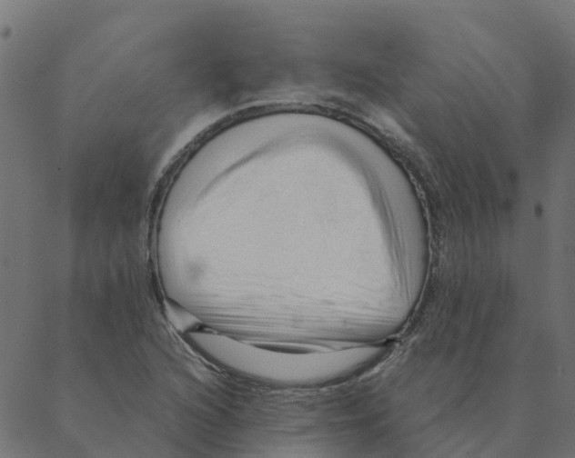 X0000087391216200705181259