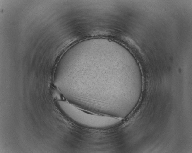 X0000087391217200705181259